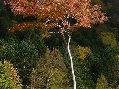 さっぽろ湖の紅葉３　第４展望台（2010年）