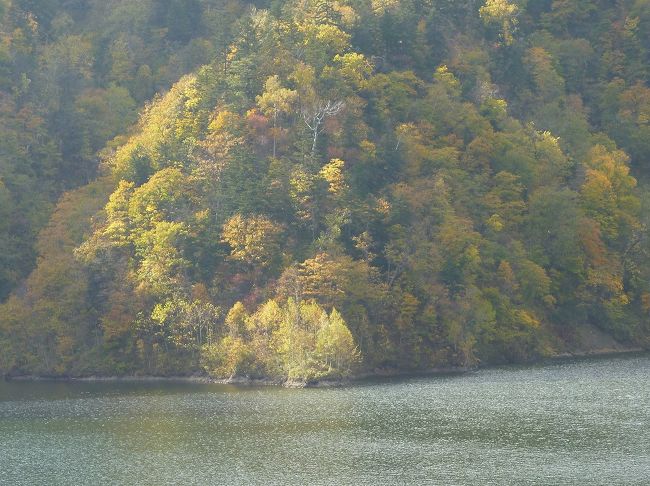 定山渓ダムによってできた人造湖・さっぽろ湖の紅葉を見てきました。赤色は少なめでしたが、黄色系はきれいでした。