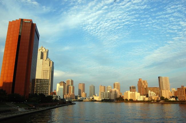 会社のカメラ好きの集まりに久しぶりに参加してぶらぶら歩きをする。 <br />新橋に集合して、以下のコース予定であった。 <br />浜離宮、築地場外、築地本願寺、かちどき資料館、月島路地めぐり、解散 <br /><br />10時に新橋駅汐留口に集合する。天気もまずまずで、コース予定は有ったが、後はぶらぶらと気の向くままに歩いた。おおよそ、予定通り歩いたが、ちょこちょこ寄り道して楽しい散歩になった。<br /><br />最後は月島のもんじゃで仕上げ、楽しくも美味しいぶらぶら歩きに成った。<br />