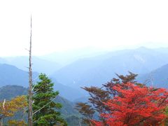 姫沙羅の森を抜けて　古ガ丸山へ