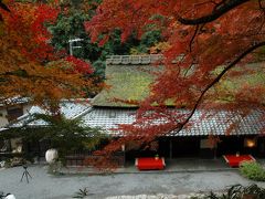 京都　紅葉　パート２　３日目（嵯峨・嵐山）