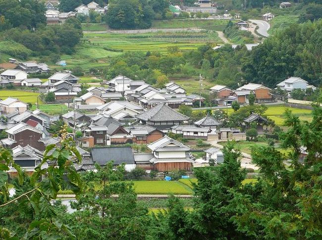 5月には藤原京跡を中心に大和三山を踏破しました。<br />その続きで、さらに時代を遡って飛鳥京へ。<br /><br />時代が古くなればなるほどミステリアスになります。<br />中大兄皇子が蘇我入鹿を討った大化の改新も、その現場となったのはどこなのか?<br />事件の背景も登場人物の性格や思想も遠い歴史の彼方、あるいは地面の下。<br /><br />今なお発掘が続いていて、新たな発見がある飛鳥は古代史ロマンのふるさとです。<br /><br /><br /><br />