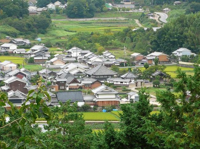 ５月には藤原京跡を中心に大和三山を踏破しました。<br />その続きで、さらに時代を遡って飛鳥京へ。<br /><br />時代が古くなればなるほどミステリアスになります。<br />中大兄皇子が蘇我入鹿を討った大化の改新も、その現場となったのはどこなのか？<br />事件の背景も登場人物の性格や思想も遠い歴史の彼方、あるいは地面の下。<br /><br />今なお発掘が続いていて、新たな発見がある飛鳥は古代史ロマンのふるさとです。<br /><br /><br /><br />