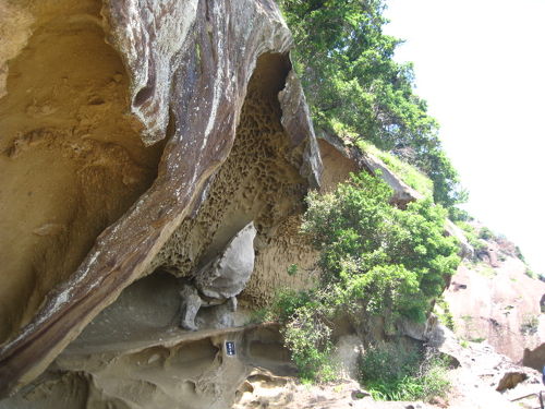 鬼ヶ城と七里御浜 世界遺産 鬼ケ城（おにがじょう・三重県熊野市）
