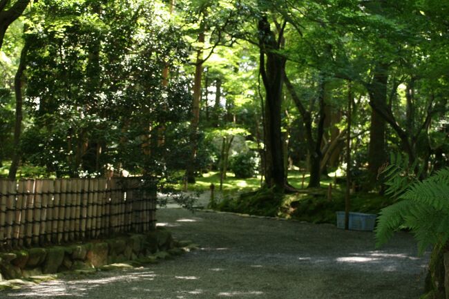 2010秋、石庭の龍安寺(4/5)：木漏れ日の参道、句碑、築地塀、竹垣、弁財天、鏡容池