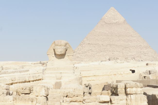 今日はピラミッドと考古学博物館へ行きます。