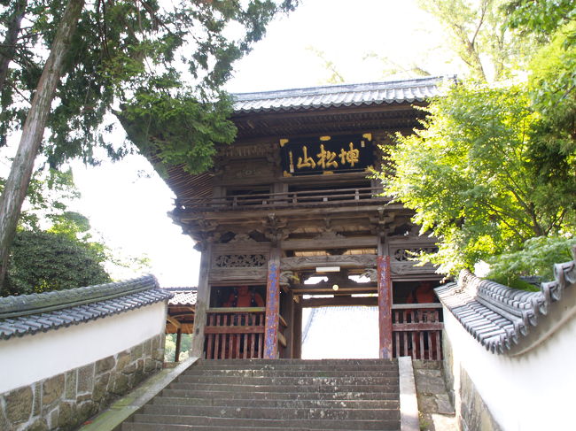 　長崎県諫早市西小路町にある天祐寺は曹洞宗のお寺で坤松山（こんしょうざん）天祐禅寺という。創建は室町時代の末期大永年間（１521〜1527年）頃といわれ、開基は西郷尚善である。諫早家の菩提寺となり、立派な山門が建っている。諫早家墓所(県指定史跡)には 初代龍造寺家晴公から十八代家興公までの墓がある。<br />　島原の乱戦没者追悼碑が立つ。寛永14年（1637年）島原の乱がおこり、諫早茂敬（第三代）は手勢をひきいて出陣した。戦いは激烈を極め、諫早勢も多くの犠牲者を出した。乱鎮圧後、三十三回忌の寛文12年（1672年）に諫早では、改めて犠牲者の霊を祀るためこの追悼碑を建立したものである。<br />　六地蔵は、石を六面にけずり、各々の面に地蔵を浮き彫りにしている六地蔵石幢（せきとう）で、六面幢、燈籠式六地蔵などともいわれている。天文10年（1541年）の建立で、諫早市指定文化財に指定されている。鎌倉では海蔵寺にある。他には背くらべ地蔵がある。<br />　天祐寺の奥の院には虚空蔵堂がある。<br />　また、若天祐寺裏の墓地には諫早一騎の指導者であった杉春后の墓もある。<br />（表紙写真は天祐寺山門）