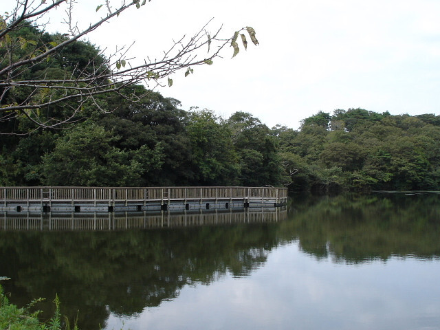 水郷県民の森で野草ウオッチング 10 1 潮来 茨城県 の旅行記 ブログ By 潮来メジロさん フォートラベル