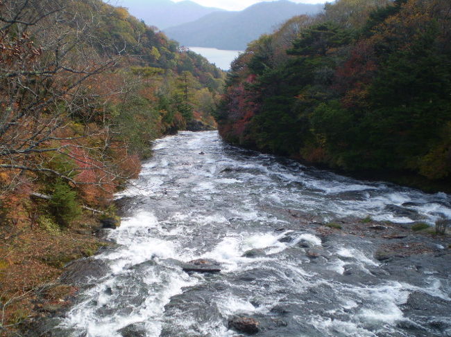 群馬県の名瀑「吹割の滝」を楽しんだ後、ロマンチック街道（国道１２０号）で栃木県に移動し「竜頭の滝」「華厳の滝」名瀑が続く紅葉シーズンの観瀑ツアーです。最初の目的地が何故か沼田（原田農園）でのりんご狩り食べ放題、農園特製のお弁当付きです。<br /><br /><br />http://bustrip.exblog.jp/12098127/
