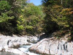 裏磐梯の中津川渓谷　2010年の紅葉は遅い