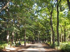 ふらっと行ってみた神代植物公園