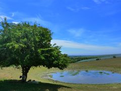 ブライトン サイクリングとセブンシスターズ (4日目 DitchlingBeacon - Lewes)