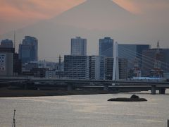 東京国際線ターミナルの展望デッキから見られた影富士