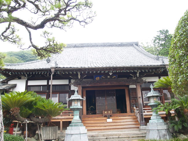 長崎市寺町にある光栄寺は日蓮宗のお寺で光栄山長照寺という。本連寺(現長崎市筑後町)開山の日慧が個人の土地を譲り受け、寛永8年(1631年)、弟子の日與が開基になり創建した。日與は元和年間(1615〜1623年)本蓮寺開山の日慧を助けキリシタンの改宗に大変尽力した人物である。<br /> 寺院と最上位稲荷殿、護国殿の3つが同じ敷地内にあり、境内に鳥居がある。<br /> 本堂、山門、お堂の屋根にも唐獅子の飾り瓦が上がり、木鼻も象と獅子であり簡素化されてはいない。<br />(表紙写真は長照寺本堂)