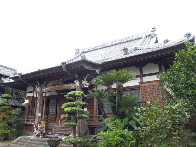 　長崎市寺町にある浄安寺は浄土宗のお寺で東雲山理薬院浄安寺という。創建は寛永元年（1624年）で、唐津の僧・誓誉が開蒼庵とするが一寺を建て浄安寺の寺号を得た。本尊は阿弥陀如来坐像である。<br />　山門2階には梵鐘が吊るされていて鐘鼓楼となっている。本堂屋根にも唐獅子の飾り瓦が上がり、木鼻も彩色された龍と獅子であり簡素化されてはいない。長崎の寺院では少し特異な感じがした。<br />（表紙写真は浄安寺本堂）