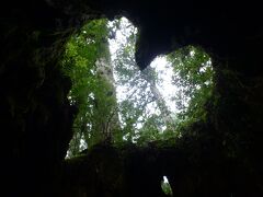 縄文杉に感動！！でも豪雨で飛行機が飛ばず延泊した屋久島