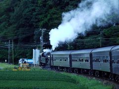 ０６．秋の３連休の大井川鉄道を楽しむ旅　南アルプスあぷとライン(井川線)　接岨峡温泉～奥泉のあぷと式鉄道　奥泉～千頭の代行バス　千頭～新金谷のＳＬの旅