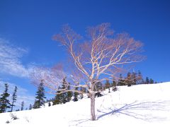 志賀高原　～New　Boardとの出会い～