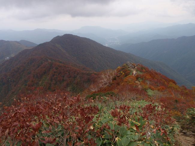 日帰りの谷川岳。<br />ロープウェイ駅から、山頂までは、紅葉のピークでした。<br /><br />帰りの温泉「みなかみ町営温泉センター三峰の湯」は掘り出し物！<br /><br />日帰りなので、物語りなしの画像メインす。