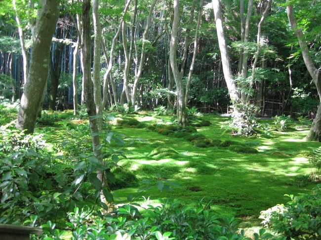 <br />初夏の嵯峨野を夫婦でぶらぶら。<br /><br />5月最後の休日、祇王寺と滝口寺でのんびりまったり過ごしました。<br /><br />