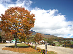 紅葉を求めて=①小淵沢からまきば公園=