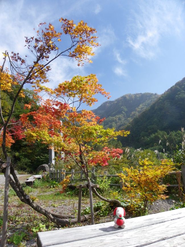 この日のメインイベントである『不動滝』は白山中腹にあります。<br />ということで、この旅行記では白山登山（別当出合〜中飯場）と不動滝をご紹介します。<br /><br />滝コミュのメンバーのGOTOCHANさんとご一緒する予定でしたが、GOTOCHANさんは前日から白山登山を敢行し、山小屋に１泊。<br />そしてこの日に私たちと待ち合わせることになっていました。