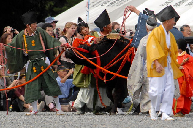 錦秋の京都...京都三大祭りのフィナーレを飾る時代祭が２２日、<br />京都市内で催された。<br />１８９５（明治２８）年に始まって以来、<br />空白だった「室町時代列」が新設され、<br />室町の華やかな衣装や音楽が、<br />京都に都が置かれた風俗を再現する<br />正午に京都御苑（上京区）を出発、烏丸通や御池通などを巡行し、<br />平安神宮（左京区）に向かった<br />２０列、２０００人の市民.行列は長さ２キロに...<br /> 歴史絵巻の行列に華を添えた。<br /><br />時代祭 京都御苑にて（1）<br />http://4travel.jp/traveler/isazi/album/10514904/<br />時代祭の始まる直前にて様子を見る。<br />最初は平安騎馬隊。続いて横断幕。<br />そして、知事さん市長さんが乗っている馬車です。<br />維新勤王隊列（明治維新）** 幕末志士列（明治維新）**七卿落（９名）<br />徳川城使上洛列（江戸時代）<br />豊公参朝列（安土桃山時代）<br />織田公上洛列（安土桃山時代）<br /><br />時代祭 京都御苑にて（2）<br />室町幕府執政列（室町時代が０７年より新たに加わりました。<br />室町洛中風俗列（室町時代が０７年より新たに加わりました。）<br />楠公上洛列（吉野時代）<br />中世婦人列（吉野時代）<br />大原女ー桂女ー淀君ー藤原為家の室ー静御前<br />羽柴　秀吉ー丹羽　長秀ー織田　信長<br />滝川　一益ー柴田　勝家<br />梶ー吉野太夫ー出雲阿国<br />江戸時代婦人列（江戸時代）<br />和宮ー蓮月ー玉瀾ー中村内蔵助の妻<br />城南流鏑馬列（鎌倉時代）<br />藤原公卿参朝列（藤原時代）<br />平安時代婦人列（藤原時代）<br />巴御前￥横笛￥常磐御前￥清少納言・紫式部<br />紀貫之の女￥小野小町￥和気広虫￥百済王明信<br />（延暦時代）