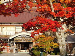 蔦温泉旅館（Tsuta Spa）蔦沼の紅葉