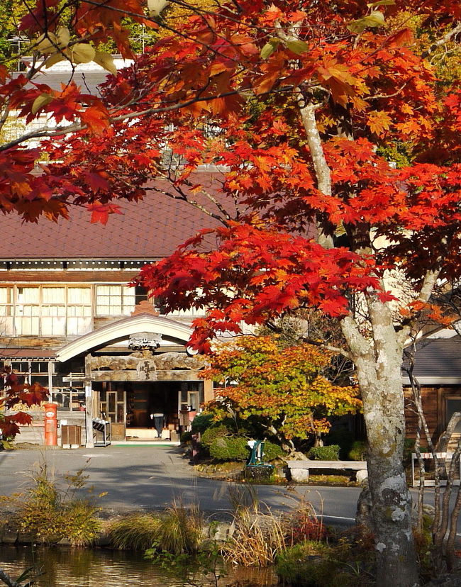 まさかの雨・・・<br />蔦沼の紅葉と美しい映り込みの写真は、4トラで始めて知った。<br />JR東日本圏外の関西では、あまり宣伝されていない。<br />紅葉の美しい10月末、風のない晴れの日に当たるよう祈りながら蔦温泉を予約。<br />10月24日、この日をカレンダーから選ぶ。<br /><br />それがですね、、、　<br />無情にも翌25日は、お日様マークなしの悪天予報！！<br />ええーっ（T＿T)うぅ〜〜〜<br />ワタシは何のために、ここまで来たのだろう。<br />一瞬、頭の中が真っ白になった。<br /><br /><br />実は訳あって、前日にレンタカーを一日だけ借りてあった。<br />フリー切符だからJRバスは乗り放題、宿の送迎バスにも楽勝で乗れたのに？！<br />その訳とは・・・<br />限定販売の駅弁を食べるためなのだ。<br />午後の大湊線のアクセス悪く、青森駅に夕刻着！<br />「たかが弁当、されど弁当」<br />弁当の為に、最終のバスに乗ることができず、レンタカーを借りる。（笑）<br />でも、この投資がラッキーだったのかも。<br /><br /><br /><br /><br />