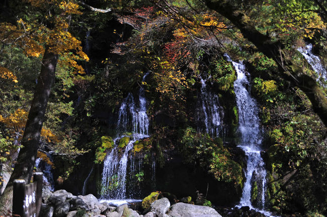 県道１１号(八ヶ岳高原ライン)を小淵沢から東へ来ました。<br />川俣川に架かる赤い橋、東沢大橋を渡ったところにある駐車場に車を止めて川沿いに下り吐竜の滝まで歩くことにしました。以前にもここには来たことがあり、二度目ですので概略はわかります。かなり大変だったことを覚えています。 <br />今回は、吐竜の滝から赤い橋・東沢大橋に戻ってきました。<br />往路・復路とも片道約２時間かかりました。<br /><br />★北杜市のHP<br />http://www.city.hokuto.yamanashi.jp/hokuto/index.jsp <br />