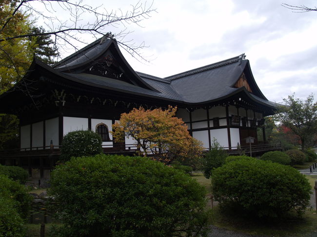 　京都市右京区太秦蜂岡町にある広隆寺は真言宗のお寺である。建立は飛鳥時代（603年）で京都最古の寺である。推古天皇11年（603年）、秦河勝が聖徳太子から賜った仏像を本尊として建立した。その本尊が国宝指定第1号の弥勒菩薩像である。桂宮院（国宝）は法隆寺の夢殿に似た単層八角円堂である。10月に行われる「牛祭」は京都三大奇祭の一つとされる。<br />　昭和57年（1982年）に建設された霊宝殿には国宝第一号の弥勒菩薩（半跏思惟像）をはじめ寄木造の千手観音（藤原期）、聖徳太子16歳像（鎌倉期）など、飛鳥、天平、貞観、藤原、鎌倉それぞれの時代を代表する仏像（国宝20点、重要文化財48点）が安置されている（。国宝第一号というのは、昭和26年（1951年）6月9日付けで国宝に指定され、国宝指定書と台帳の番号が「彫刻第1号」である像のことをいうようで、分類別に国宝第一号があるようだ。例えば、中尊寺金色堂は、同日付けで国宝建造物第1号に指定されており、平泉・中尊寺では「金色堂は国宝第一号」と謳っており、実際に耳にした）。<br />　特に、宝冠弥勒菩薩半跏思惟像は「東洋のモナリザ」とも呼ばれ、また、宝髻(ほうけい)弥勒菩薩半跏思惟像は泣いているような表情から「泣き弥勒」と呼ばれ、良く知られている。その他にも、定朝の弟子・長勢の作の十二神将立像や、不空羂索観音立像（像高314cm）、千手観音立像（像高264cm）、埋木地蔵と呼ばれている地蔵菩薩立像などの大きな像があるが、中でも朽ちてきており注目はされないが、千手観音坐像はバランスがとれており、さすがに国宝だと思った。バランスの良い千手観音坐像は国宝でもないと見かけないものだ。<br />　仁王門から境内に入ると人影もまばらで落ち着いた雰囲気である。こうした中に、境内の一番奥に鉄筋コンクリート製の霊宝殿があった。こうした古刹には鉄筋コンクリート製の伽藍は場違いな感じがしたが、中は違っていた。古刹ならでわの寺宝ともいうべき仏像が並んでいたのだ。さすがに京都寺社には鉄筋コンクリート製の伽藍や社殿は数少ないのではあるが、不思議なことにここ広隆寺霊宝殿の中は心が落ち着く特別なスポットであった。<br />（表紙写真は広隆寺本堂）