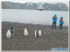南極万歳。ペンギンに出会う！