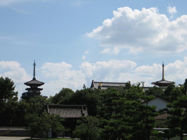 平城宮跡からシャトルバスで近鉄西大寺駅まで行き、昼食を食べてから西ノ京に向かいました。<br /><br />薬師寺、唐招提寺は数年振りです。<br /><br /><br />写真は玄奘三蔵院から見た薬師寺東塔、西塔。