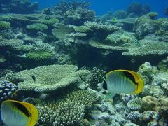 2010年 モルディブ エンブドゥヴィレッジ　(島内散策・シュノーケリング）