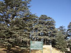 「中東のパリ」レバノン８日間（３日目）レバノン杉の森～ビブロス～ベイルート