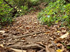 「 秋 の 里 山 を あ る く 」 小 さ な 旅 ＜ 新潟県長岡市  ＞