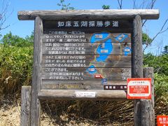 素晴らしき世界遺産 知床―知床五湖・知床自然センターの遊歩道・フレペの滝（乙女の涙）編―