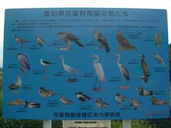 弥富野鳥園で野鳥観察