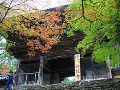 京都を歩く(64) 2010紅葉シーズン到来！ さあ出かけよう，紅く色づき始めた京都へ！
