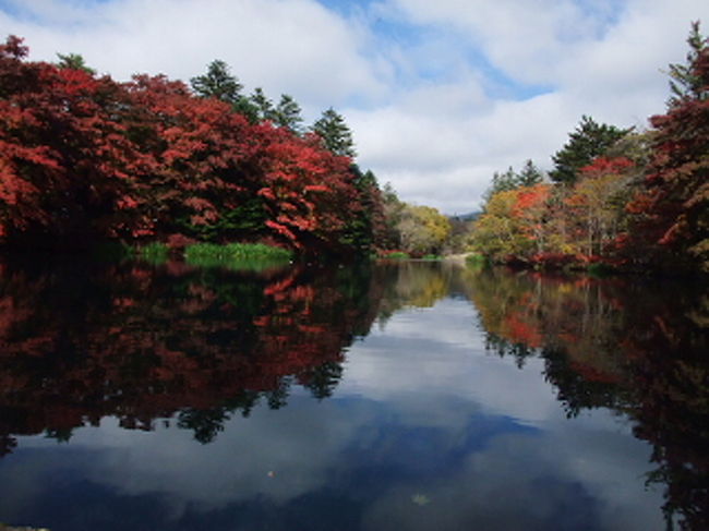 紅葉をみに軽井沢へ行こう 雲場池と旧碓氷峠 軽井沢 長野県 の旅行記 ブログ By Aun工房さん フォートラベル