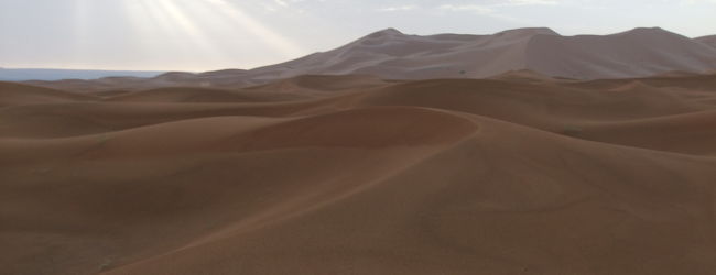 ドラア谷周辺 旅行 クチコミガイド フォートラベル モロッコ Les Vallee Du Draa ドラア谷周辺 旅行 クチコミガイド フォートラベル モロッコ Les Vallee Du Draa