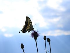 世界に、光が満ちた…長野ツーリング♪その3。