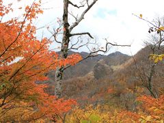 ２０１０ 紅葉 矢筈ヶ山（大山）