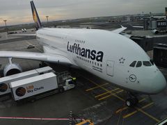 ルフトハンザ航空A380ビジネスクラスで行くスペイン10日間 13 帰国便