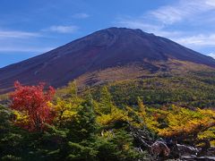 紅葉と温泉を楽しみながら④～富士山五合目・奥庭自然公園～