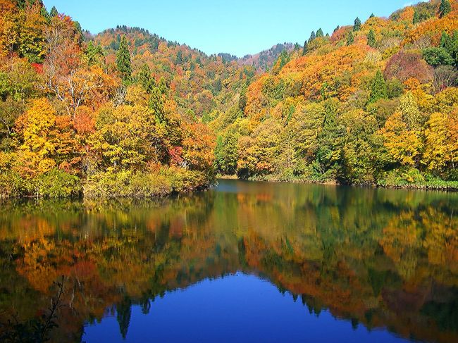 先月に続いての森林浴第2弾は2ヶ所(三滝渓&芦津渓谷)に分け移動時間等もかかったりしますのでその分短距離コース短時間と言う内容で設定してみました。<br /><br />三滝渓(駐車場……三滝吊橋)==芦津渓谷(三滝園:昼食)==芦津渓谷(三滝ダム湖……三滝)<br /><br />紅葉状況ですが、共に見頃を迎えていて当日は大勢のハイカー達で賑わっていました。<br />どちらかと言えば一本道の三滝渓より幾つかのコースが楽しめる芦津渓谷の方が面白みがあるかも知れません。<br /><br />今回の場所は熊出没、生息地域と言う事もあり特に今年に限っては町の方まで挨拶に降りてくる事が多いとかで、数多くの目撃情報も・・・<br />出発前からの準備も百均で購入した鈴を取り付け、いざという時の為にかけておいた保険の確認等もチェック(^O^)準備万端でGO!<br /><br />尚13日にも三滝園と同エリアの板井原集落へ立ち寄ってみましたので紅葉状況等こちらへ追記させて頂きました。
