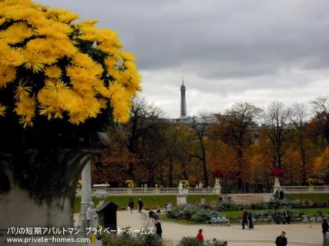 秋のカルティエ・ラタンを歩く。<br />Le Jardin Luxembourg(ル・ジャルダン・リュクサンブール)こと、リュクサンブール公園(ルクサンブール公園)の秋の様子を写してきました。<br /><br />パリ:2010年11月初旬<br /><br />今秋の紅葉を満喫できるのは、今週末が最後のピークになりそうです。<br /><br />プライベート・ホームズ<br />http://www.private-homes.com/paris/<br /><br />アクセス方法<br />最寄駅はRER(郊外とパリをつなぐ電車。パリ市内中心部では地下鉄とほぼ同等)の「Luxembourg」駅下車、「Jardin du Luxembourg」出口を出てすぐ右手。<br />入り口は他にもありますが、ここからのアクセスが一番、宮殿部分へのアクセスが分かりやすくて、初めて行く人には楽だと思います。<br /><br />カルティエ・ラタンかサンジェルマンからも歩いて行けます(方向音痴の人はRERをつかいましょう)。<br />