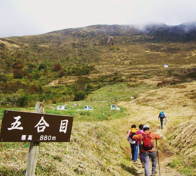 滋賀県の最高峰・伊吹山には、過去二回登ったことがあります。<br />ドライブウェイを車で、ですけれどね。<br /><br />体力のいる山と聞いていたので、今まで登るのを躊躇していました。<br />にわかハイカーとはいえ、山歩きを趣味にする滋賀県民ホーミン。<br />一回は歩いて登らないと！<br />ね、rokoさま。<br />というわけで、roko師匠のお膝元、伊吹山に徒歩で登ってきました。<br /><br />伊吹山<br /><br />標高　1377m<br />標高差　1157m<br />歩行距離　約12km<br /><br /><br />2010年　登山記録<br /><br />2/7 　　須磨アルプス<br />2/21　　播磨アルプス<br />3/11　　太神山・笹間ヶ岳<br />3/14　　堂満岳<br />3/21　　竜ヶ岳<br />3/30　　御在所岳<br />4/17　　藤原岳<br />5/4 　　釈迦岳<br />5/9　　 横山岳<br />5/15　　石鎚山<br />5/16　　瓶ヶ森<br />5/27 　 錫杖ヶ岳<br />6/1　　 青葉山<br />6/12　　蛇谷ヶ峰<br />8/7　　 富士山　　（3500ｍ敗退）<br />8/29　　大日ヶ岳<br />9/3〜5 富士山<br />10/7 　 高畑山<br />10/17 古ガ丸山<br />