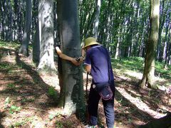 75　黒海奇行　ちょっと寄り道　トランシルバニア