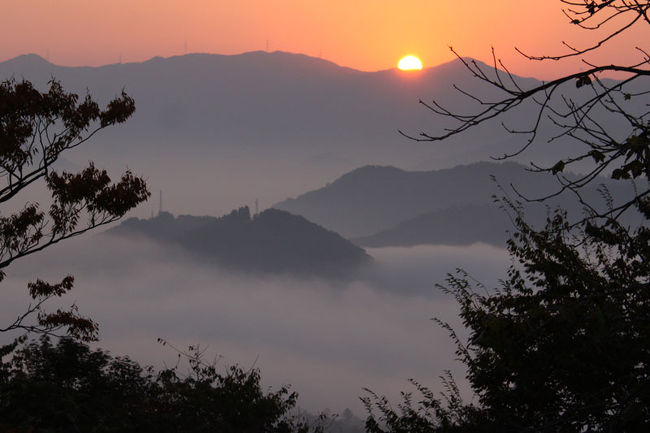 2010年11月6日、早起きして舞鶴の五老岳へ雲海を見に行きました。<br />6時30分頃日の出です。